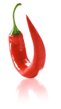 Fresh Red Hot Chili Pepper. White background. Soft Focus view.