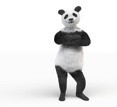 folded paws across panda character on isolated white background. fold one's arms