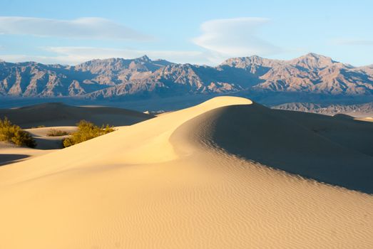 Curved dunes in Death Valley National Park, California USA