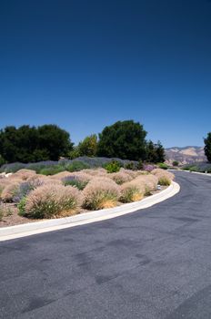 California desert landscape