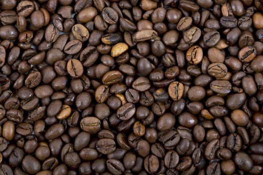 Coffee beans, a background or texture