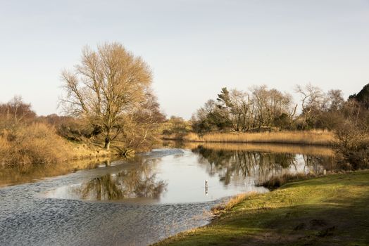 small pond or river in holland nature area called amsterdam waterleiding duingebied near zandvoort