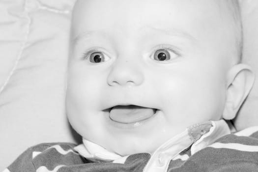 Portrait of a four months old baby boy black and white caucasian