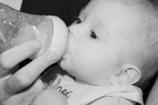 Portrait of a four months old baby boy black and white caucasian