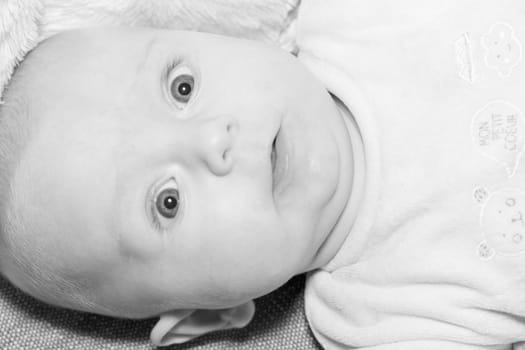 Portrait of a four months old baby boy black and white caucasian