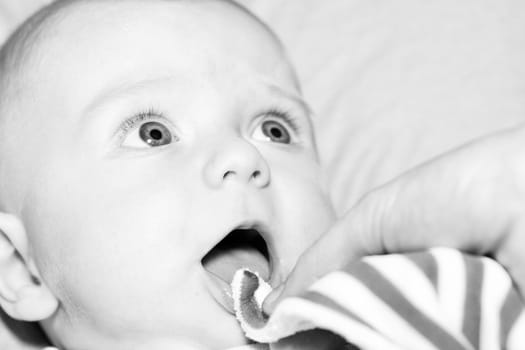 Portrait of a four months old baby boy black and white caucasian