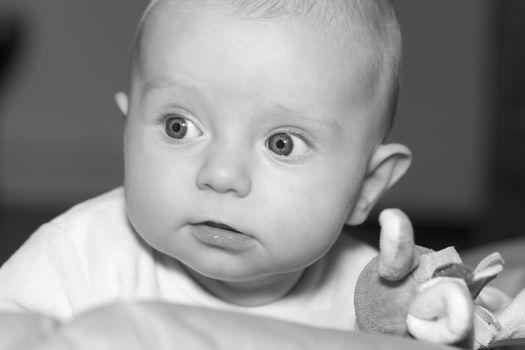 Portrait of a four months old baby boy black and white caucasian