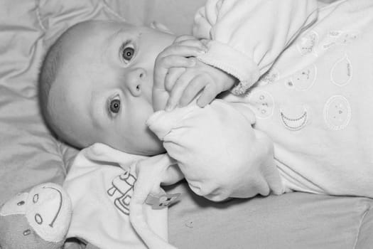 Portrait of a four months old baby boy black and white caucasian