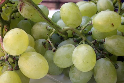 Grapes