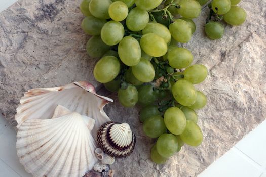 Mediterranean: grapes and shells