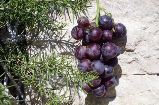 Grapes
