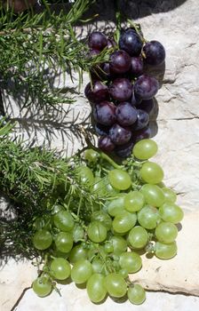 Grapes
