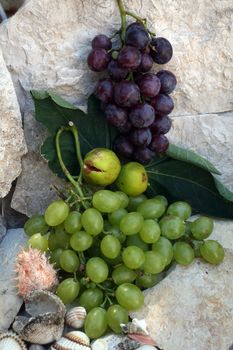 Grapes