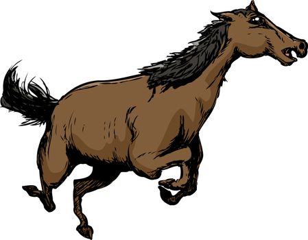 Sketch of single brown wild horse with black mane galloping over isolated white background