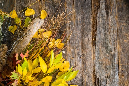 Autumn Bouquet Background with Copy Space. Fall Plants on Aged Wood Table.