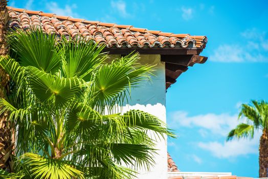 California Living. Part of House and the Palm Tree. California Architecture.