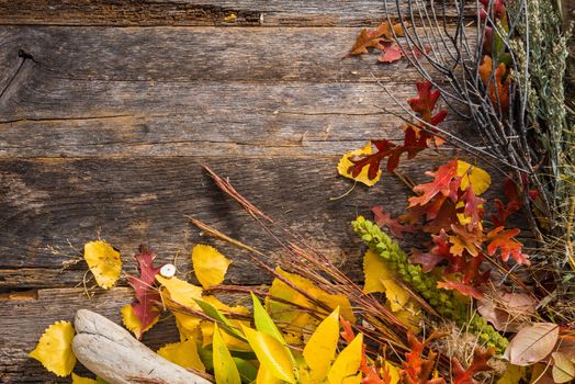 Dry Stalks and Leaves Fall Background on Aged Wood Planks with Copy Space. Autumn Wooden Backdrop.
