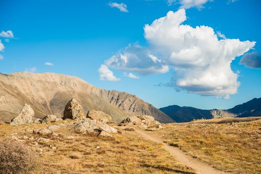 Independence Pass Scenery in Colorado, USA. Rocky Mountains.