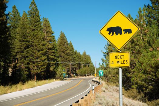 Watch For Bears Yellow Caution Street Sign in Sierra Nevada Mountains in California, USA.