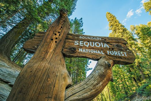 Sequoia National Forest Wooden Sign on the Sequoia National Park Road. California, United States.