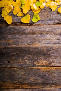 Fall Wooden Background with Yellow Aspen Tree Leaves and Copy Space Below. Aged Wood Planks Autumn Backdrop.