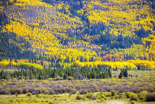 Fall Foliage Colorado. Colorful Autumn Colorado Mountains. Scenic Fall Foliage.