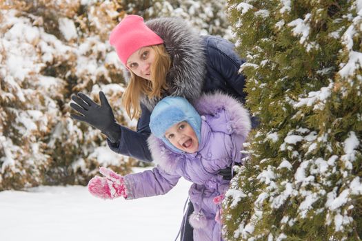 Five-year girl and young mother walking on snow-covered coniferous forest