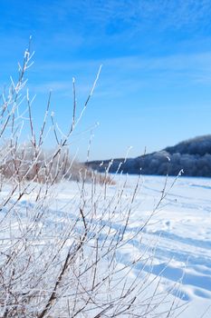 Winter landscape with frozen tree against blue sky