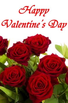 Happy Valentines Day, red roses with inscription on a white background