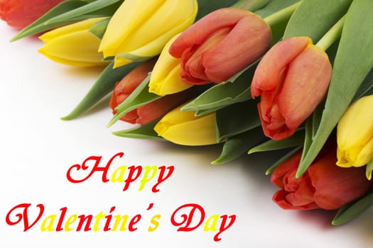 Happy Valentines Day, red and yellow tulips with inscription