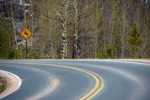 Watch For Deer Road Warning Road Sign on the Road Curve. Dangerous Mountain Road.