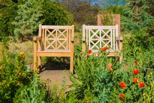 Two Wooden Garden Chairs in the Middle of the Garden.