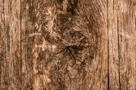 Aged Knotted Wood Photo Background. Wood Closeup Backdrop.