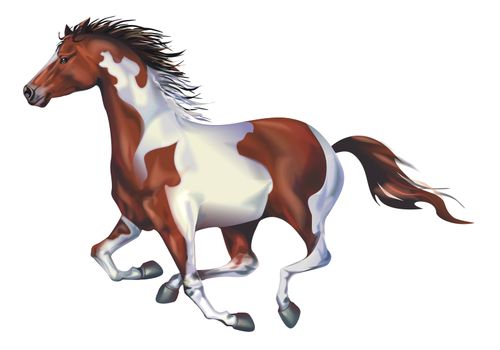 Galloping Spotted Horse Art Illustration Isolated on Solid White Background. Running Horse.