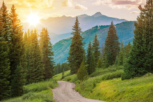 Mountain Landscape. Colorado Wilderness Backcountry Road.