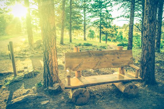 Forest Trail Wooden Bench at Sunset. Summer Hiking in the Colorado.