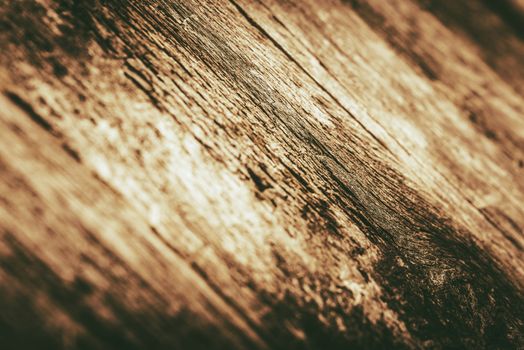 Wood Closeup with Shallow Depth of Field. Golden Brown Wood Background.