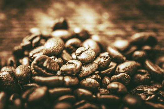 Golden Coffee Beans. Cafe Concept. Coffee Beans Closeup.