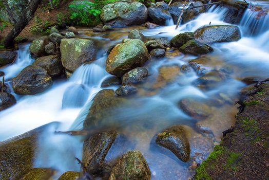 Mountain Rocky Stream Closeup Photo. Colorado Fauna and Flora.