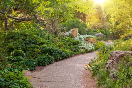 Sunny Summer Garden. Beautiful Garden Walking Path. Gardening in Summer.