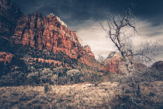 Raw Zion Landscape. Zion National Park in Utah, USA. Dramatic Color Grading.