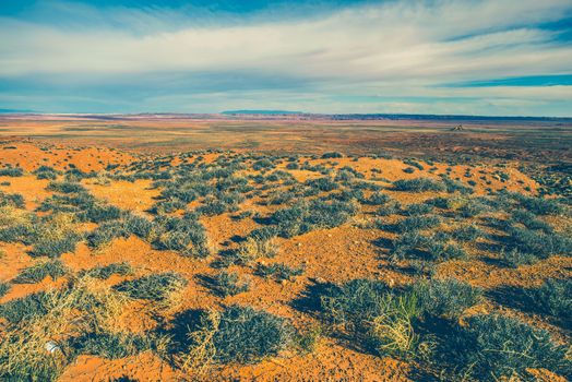 Raw Arizona Desert Landscape. Northern Arizona Lands. United States.