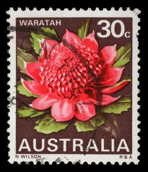 Stamp printed in the Australia shows Waratah, New South Wales, State Flower, circa 1968