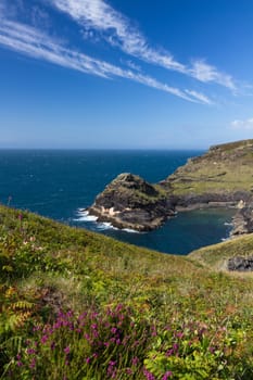 Coastline at Cornish coast near Boscastle, Cornwall, England