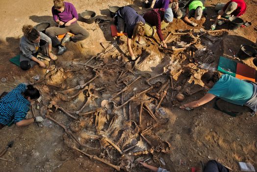 In 1936, just at the beginning of the Spanish Civil War, dozens of non-fascist citizens were carried from Burgos to mount Estepar. Over there, they were shot by a platoon of Franco's army and buried in a mass grave until 2014-2015.