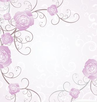 violet roses white background