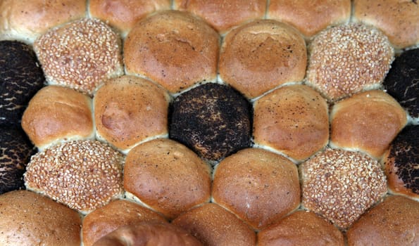 Fresh bread rolls