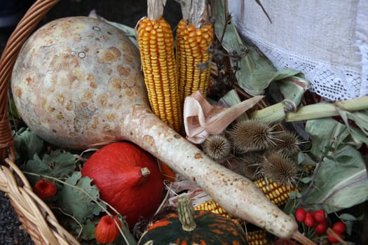 Autumn Harvest