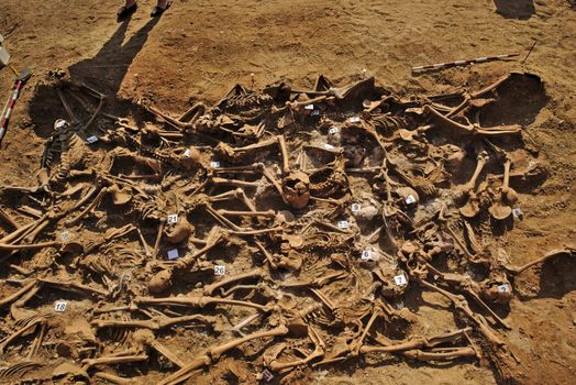 In 1936, just at the beginning of the Spanish Civil War, dozens of non-fascist citizens were carried from Burgos to mount Estepar. Over there, they were shot by a platoon of Franco's army and buried in a mass grave until 2014-2015.