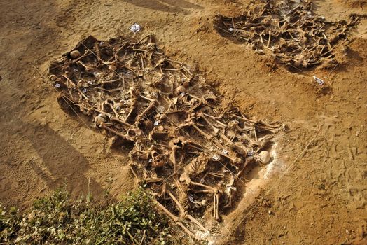 In 1936, just at the beginning of the Spanish Civil War, dozens of non-fascist citizens were carried from Burgos to mount Estepar. Over there, they were shot by a platoon of Franco's army and buried in a mass grave until 2014-2015.